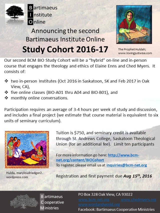 Cohort Flyer 2016-17