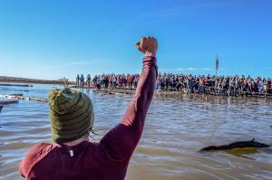 14956519_222275634860582_2387440400983392087_n