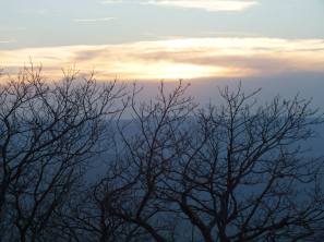 Trees - Reddish Knob.jpg