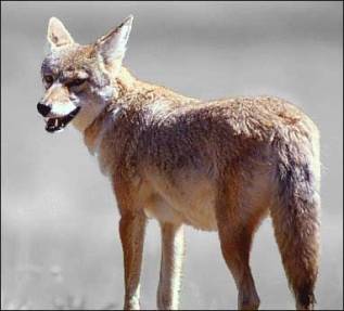 2249220298_de45840ab4_o(1)