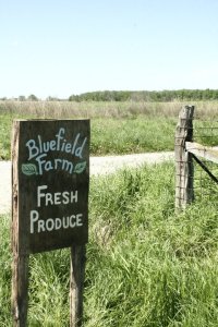 227350_659624815131_692849_n