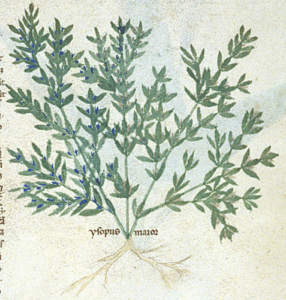 Screen Shot 2018-03-04 at 8.43.44 PM