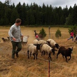 10599554_10152591711770351_5785986799088242268_n