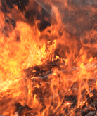 fire