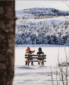 Screen Shot 2018-11-13 at 4.31.09 PM