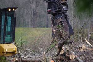 48389000_10155980490816146_6934145010568790016_o(1)