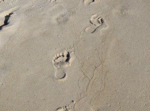 footprints