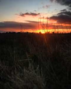 51018208_1652852181527529_5162391080217346048_n