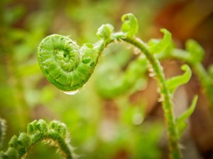 8699828939_8a53b785ab_b