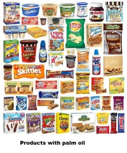 products with palm oil