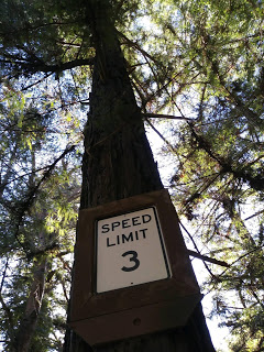 Speed Limit 3