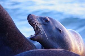 50436404_10156046642381146_5086556040967749632_o