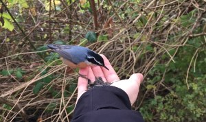 72869828_10156645667586146_9128614668779126784_o