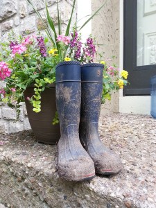 20528720818_e4fc6d665f_c